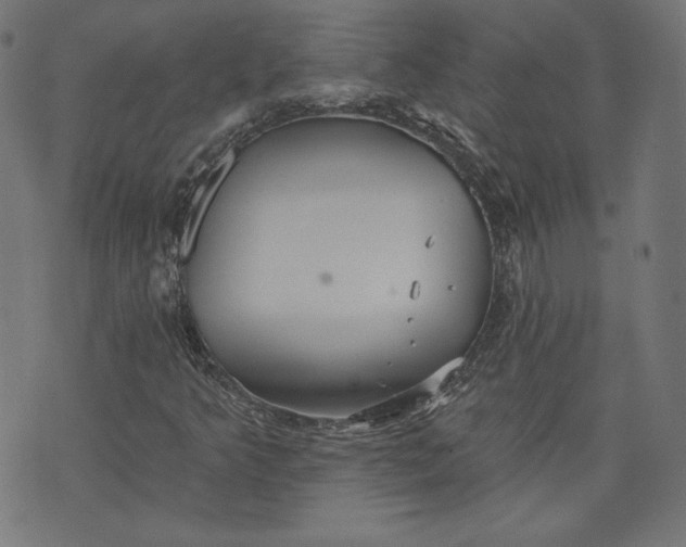 X0000070341349200606231522