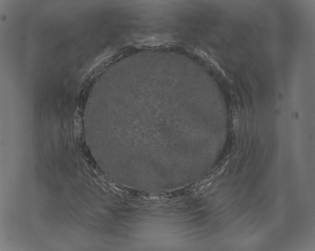 X0000070341350200606231522