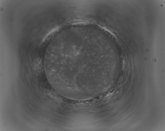 X0000070341351200606231522