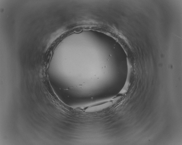 X0000070341352200606231522