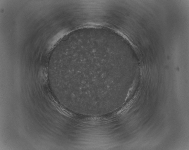 X0000070341355200606231522