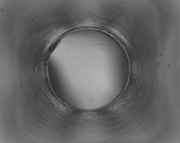 X0000070341356200606231522