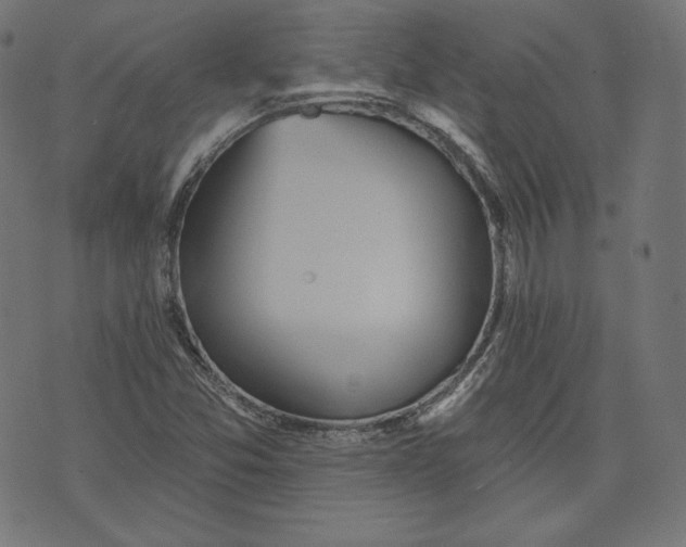 X0000070341357200606231522