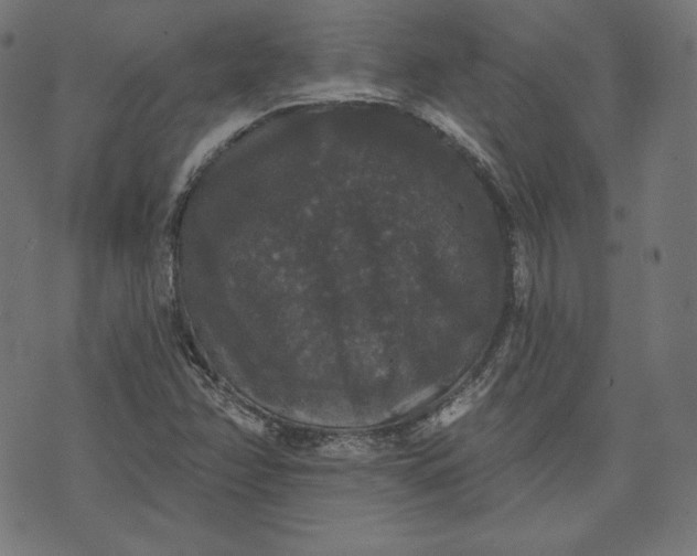 X0000070341358200606231522