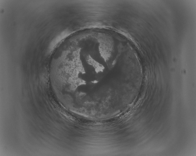 X0000070341359200606231522