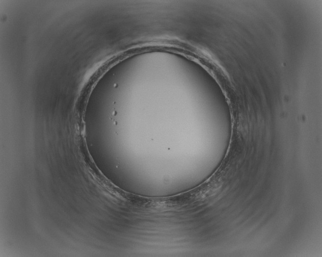 X0000070341360200606231522