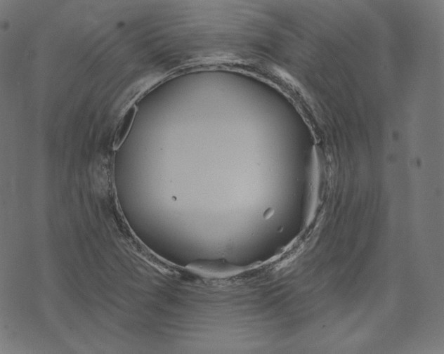 X0000070341361200606231522