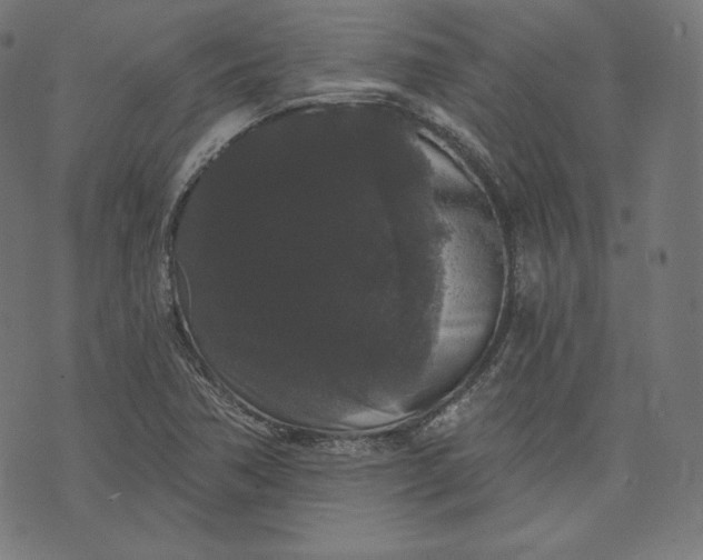 X0000070341362200606231522