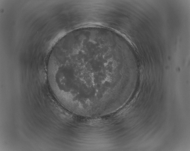 X0000070341363200606231522