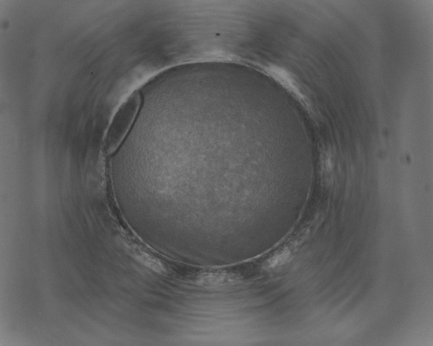 X0000070341364200606231522