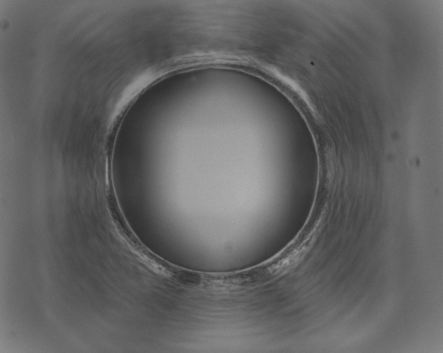 X0000070341365200606231522