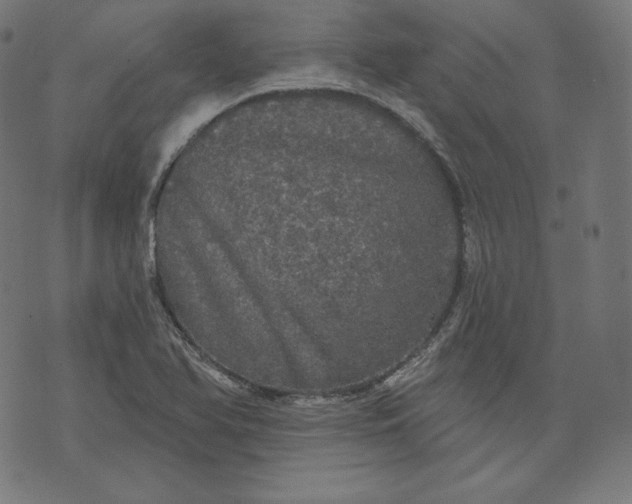 X0000070341366200606231522