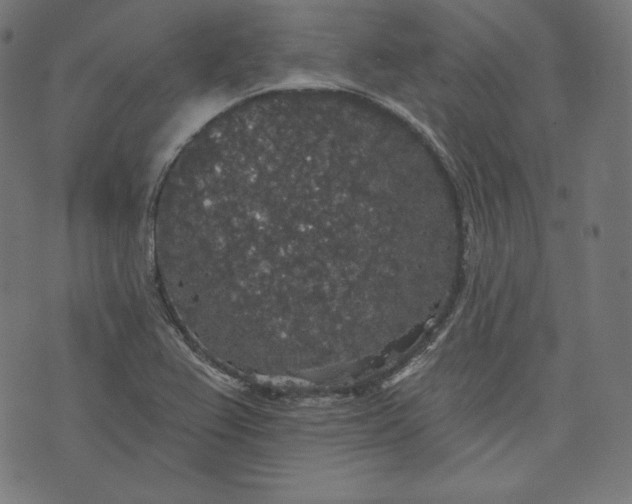 X0000070341367200606231522