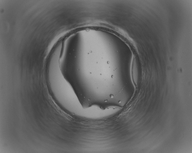 X0000070341368200606231522