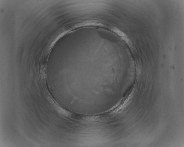 X0000070341369200606231522