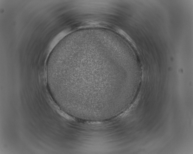 X0000070341370200606231522