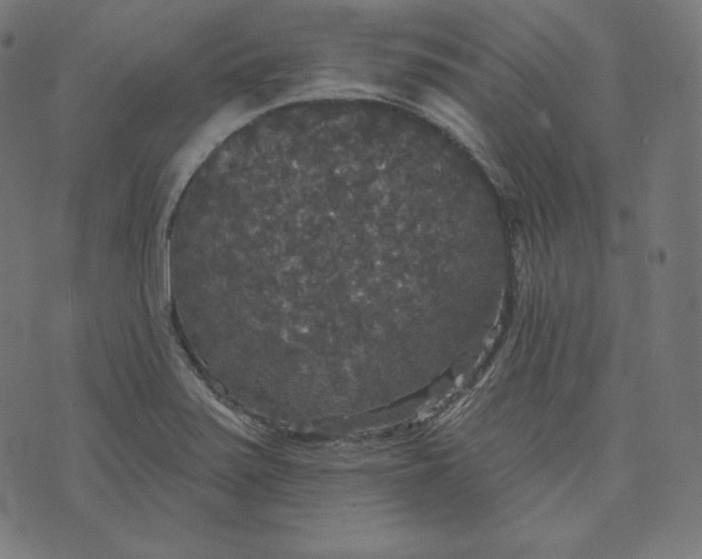 X0000070341371200606231522