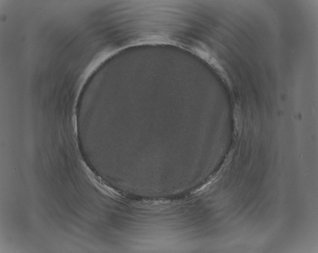 X0000070341372200606231521