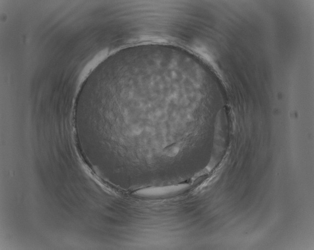 X0000070341373200606231521