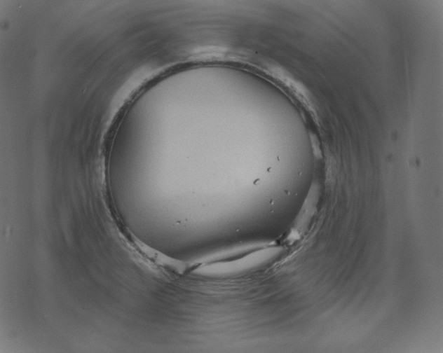 X0000070341376200606231521