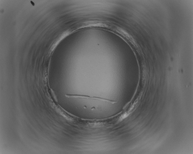 X0000070341377200606231521