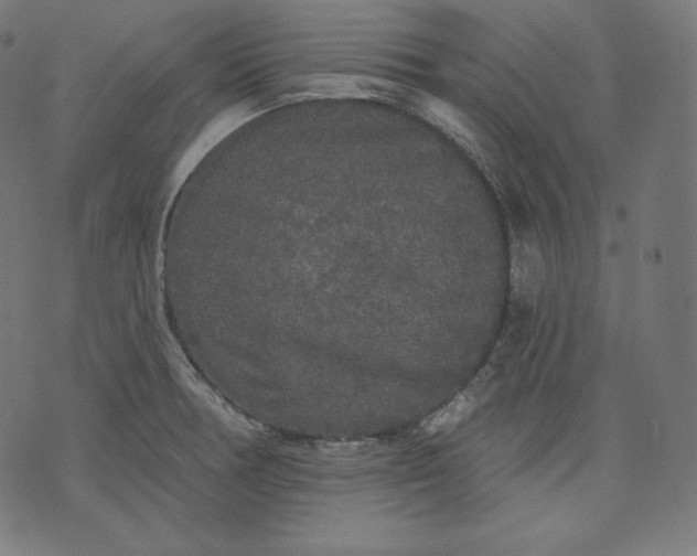 X0000070341378200606231521