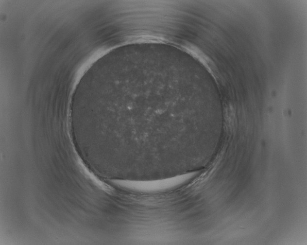 X0000070341379200606231521