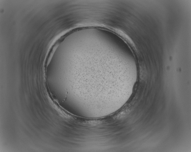 X0000070341380200606231521