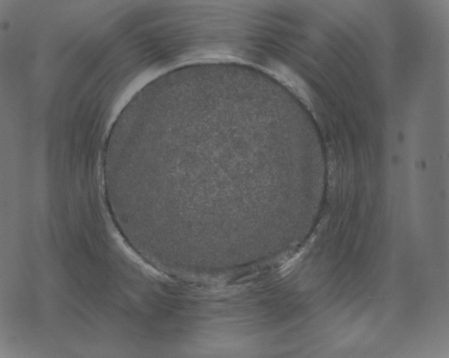 X0000070341382200606231521