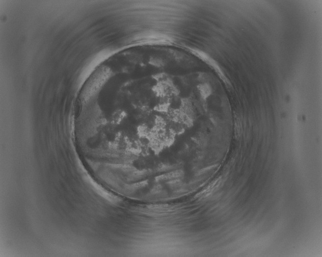 X0000070341383200606231521