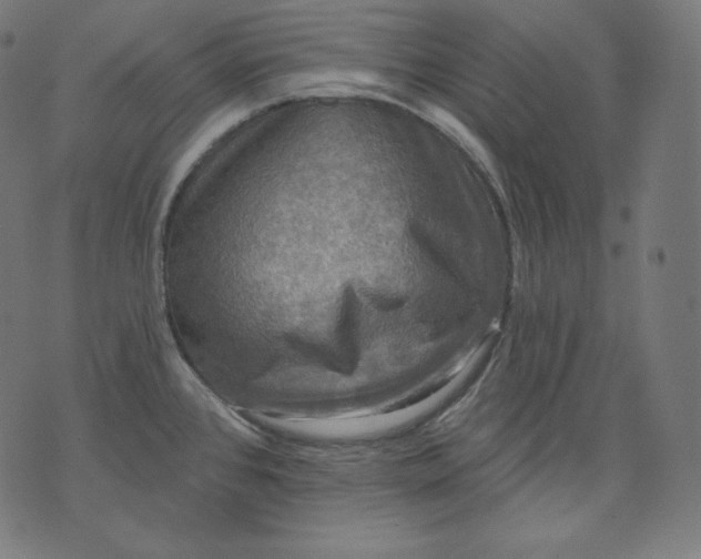 X0000070341384200606231521