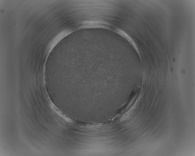 X0000070341386200606231521