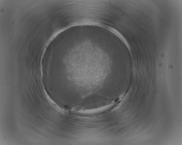 X0000070341388200606231521