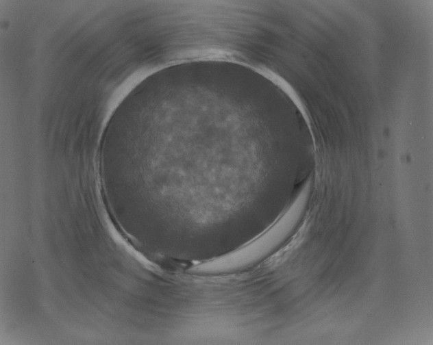 X0000070341389200606231521