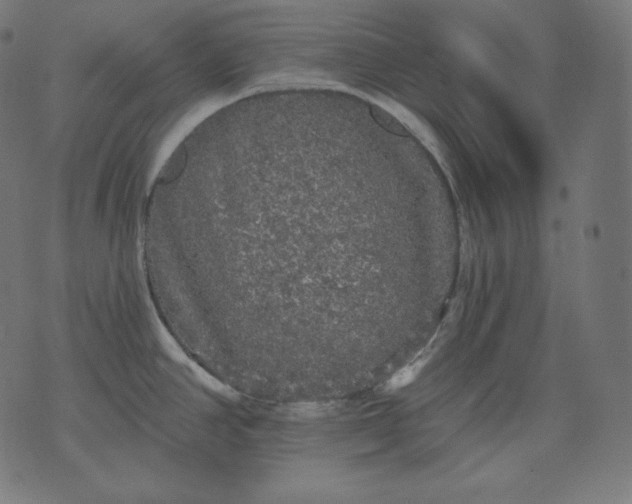 X0000070341390200606231521