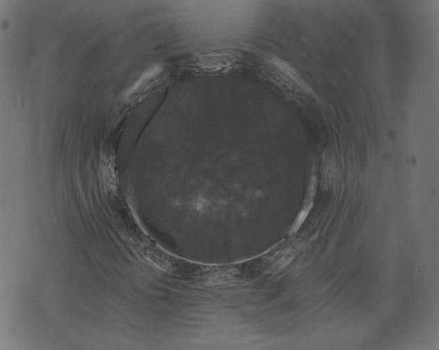 X0000070341394200606231520