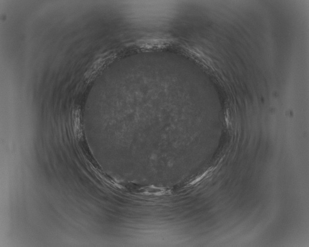 X0000070341396200606231520