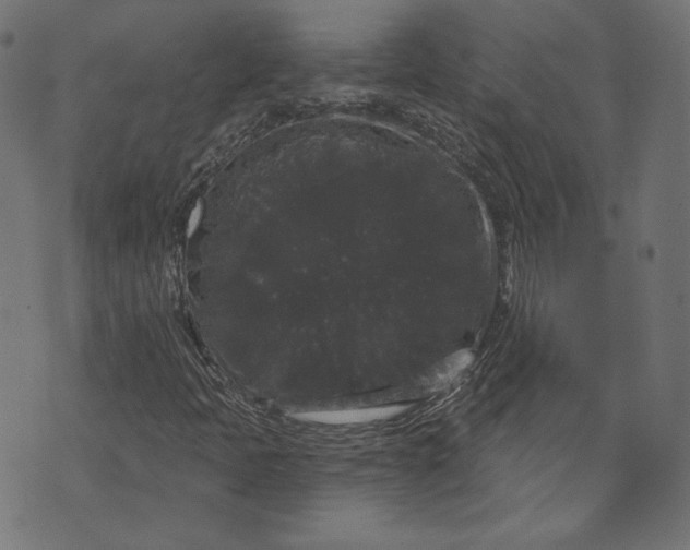 X0000070341397200606231520