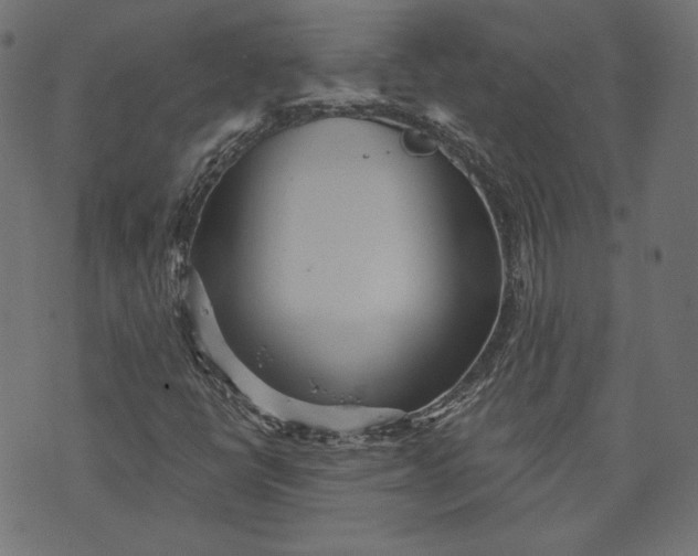 X0000070341398200606231520