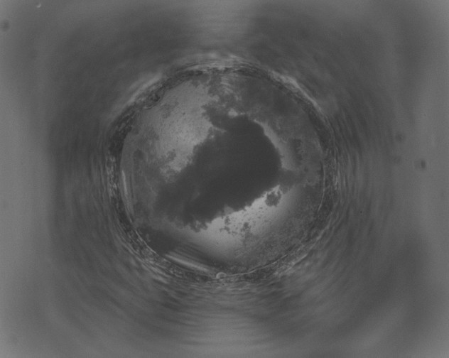 X0000070341399200606231520