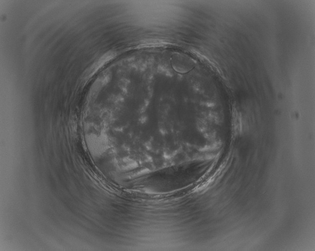 X0000070341401200606231521