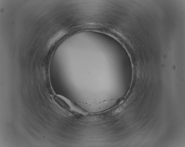 X0000070341402200606231521