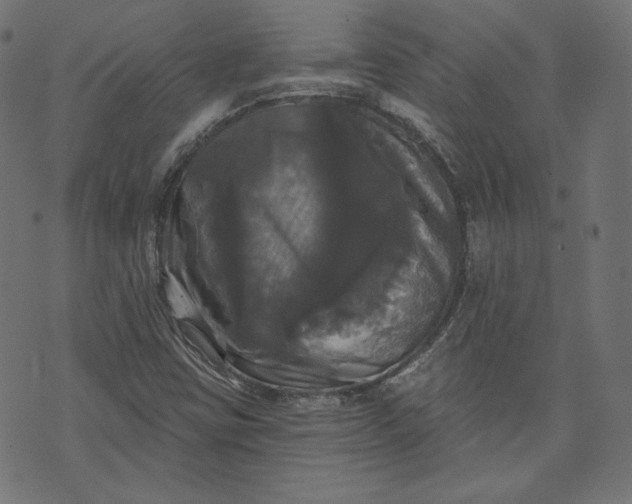 X0000070341403200606231521