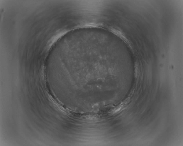 X0000070341404200606231521