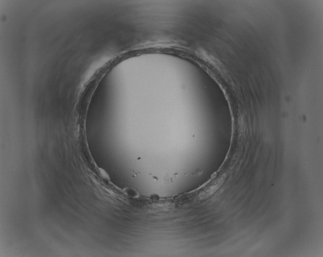 X0000070341406200606231521