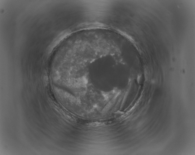 X0000070341407200606231521