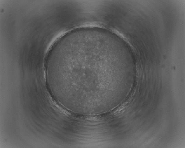 X0000070341408200606231521