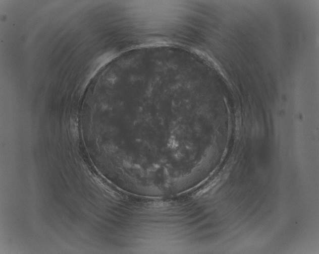 X0000070341409200606231521