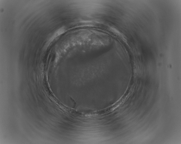 X0000070341411200606231521