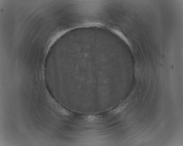 X0000070341412200606231521